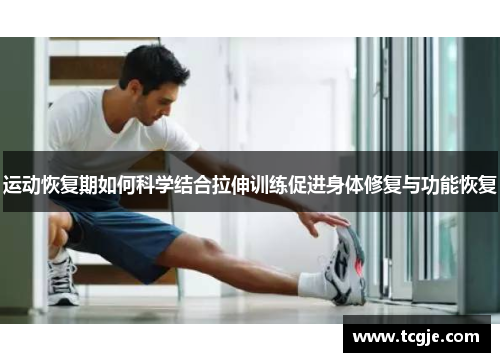 运动恢复期如何科学结合拉伸训练促进身体修复与功能恢复